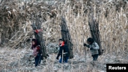 북-중 접경도시 북한 신의주 압록강변에서 소녀들이 나무를 지고 가고 있다.