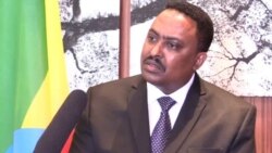 "ኤርትራን ጅቡቲን ዘይምርድዳኣን ብሰላማዊ መንገዲ ንምፍታሕ ምስምማዓን ንህዝቢ'ቲ ከባቢ ዓብይ መልእኽቲ'ዩ "ዶ/ር ወርቅነህ ገበየሁ