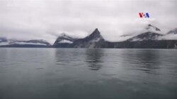 Գրենլանդիայի հարցի քննարկումը շարունակվում է՝ Թրամփը Դանիայի վարչապետին ձեւակերպումը «զզվելի» է անվանել