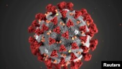 The ultrastructural morphology exhibited by the 2019 Novel Coronavirus (2019-nCoV), which was identified as the cause of an outbreak of respiratory illness first detected in Wuhan, China, is seen in an illustration released by the Centers for Disease Cont
