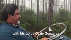 Exotic National Park Site Makes Visitor Feel He's in a Movie