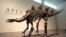 Kerangka stegosaurus dipamerkan di Sotheby's New York di New York, Rabu, 10 Juli 2024. (Foto: AP)