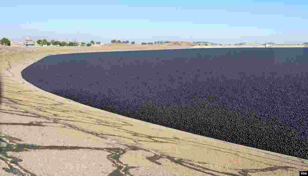 水库表面不见水（美国之音国符拍摄）