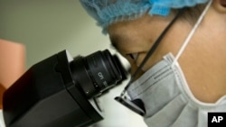 科研人员在贺建奎的实验室做研究