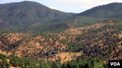 دیمەنێکی ناوچەی قەندیل