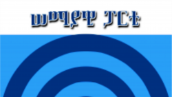 ከአቶ ለገሠ ተፈረደኝ፤ የሰማያዊ ፓርቲ ምክትል ሊቀመንበር ጋር የተደረገ ቃለ-ምልልስ