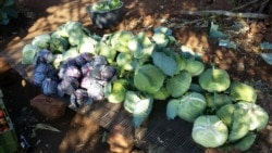 Endividamento dificulta vida da população moçambicana