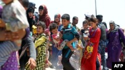 Des familles fuyant les combats à Fallouja, le 27 mai 2016