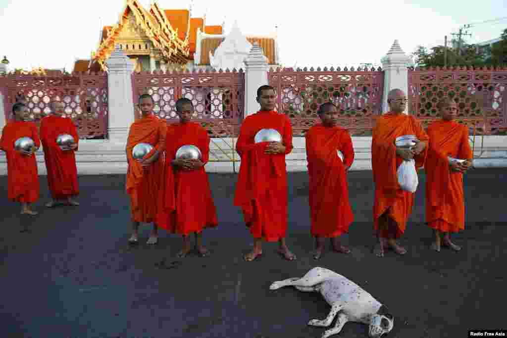 Seekor anjing tertidur di depan para biksu yang meminta sedekah di luar sebuah kuil di dekat Kantor Pemerintah di Bangkok, Thailand. &nbsp;