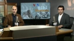 بي بي شیرینه – وي او اې ډيوه په ټیلې ویژن