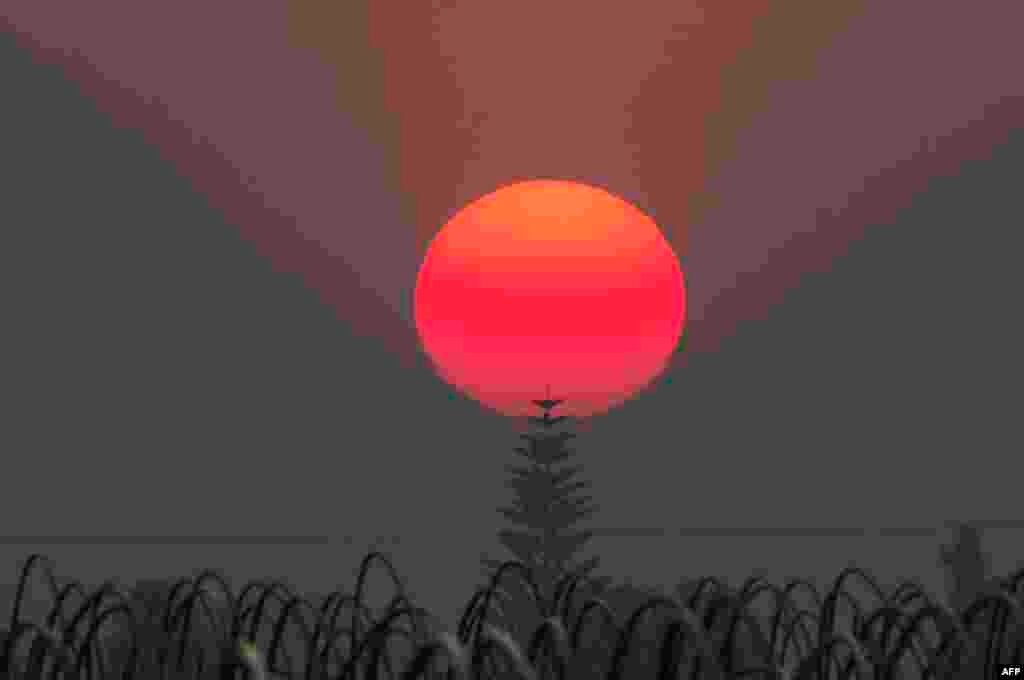 The sun, a deep red-orange due to the smoke from the Thomas Fire, sets over an agricultural field in Santa Paula, California, Dec. 12, 2017.