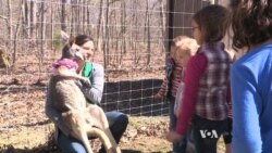 Pet Kangaroo Helps Spread Environmental Message