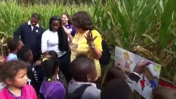 美国“农家乐”：逐渐兴起的农场旅游热