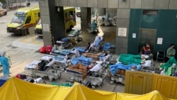 习近平责成援港抗疫 港医学界缄默 政治恐凌驾专业