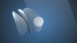 ሁለት መቶ ካርቶን ደግነት |አጭር ቅኝት