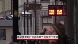 部分俄罗斯行业在不景气经济下兴旺发展