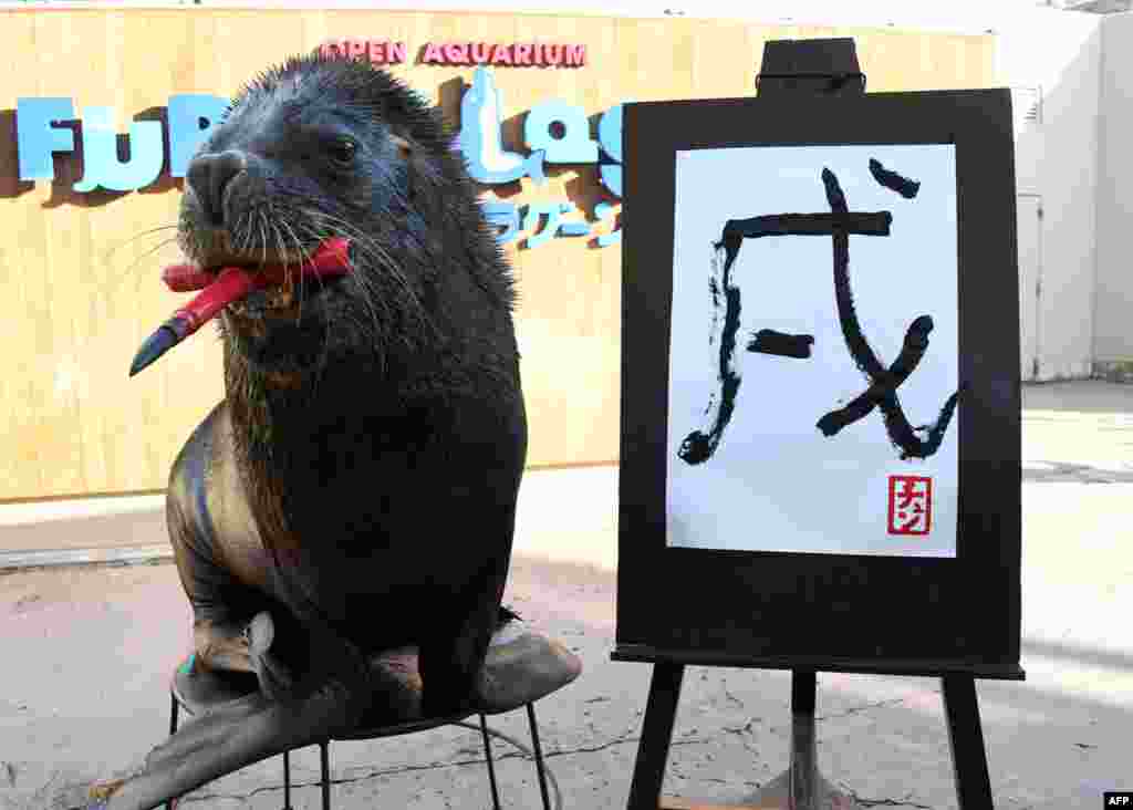 តោ​សមុទ្រ​អាយុ​១៣​ឆ្នាំ Chen ឈរ​ថត​រូប​បន្ទាប់​ពី​បាន​សរសេរ​អក្ស​ចិន​មានន័យ​ថា &laquo;សុនខ&raquo; ដែល​ជា​ឆ្នាំ​សញ្ញាបន្ទាប់​របស់​ចិននៅ​ សួន​សមុទ្រ Yokohama Hakkeijima Sea Paradise ទីក្រុង​ Yokohama ប្រទេស​ជប៉ុន។