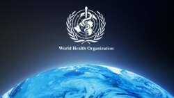 የአለማችን የአየር ንብረት ብክለት በርካታ የሰው ልጅ ህይወትን እየቀጠፈ ነው!