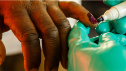 Ingxoxo Esiyenze LoMnu. Joseph Tshuma loMnu. Fortune Nkosinathi Mlalazi