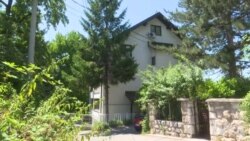 Mačak među novinarima