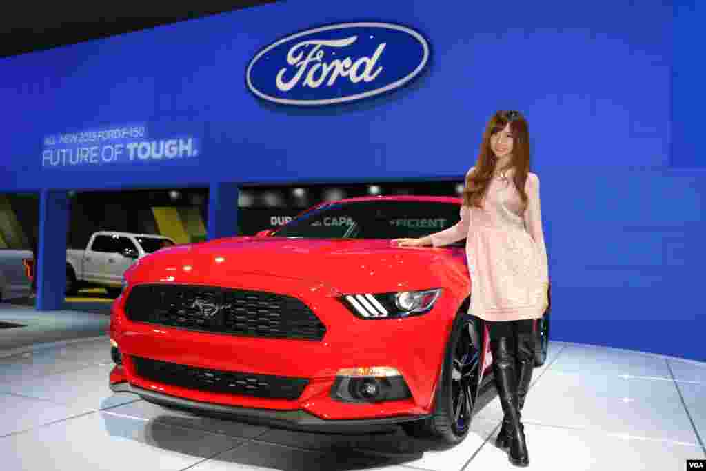 《走进美国》主持人莫非充当车模 