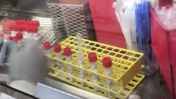 ተመርማሪዎች መሣሪያውን ይጠራጠራሉ