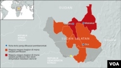 Peta wilayah Sudan Selatan (Foto: dok).