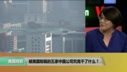 时事看台：被美国制裁的五家中国公司究竟干了什么？