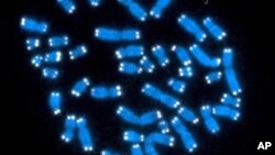 کینیڈا کے جنگل میں لگنے والی آگ کے تیزی سے پھیلنے کے باعث ہزاروں افراد کو محفوظ مقام پر منتقل کیا جا رہا ہے۔