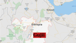 በምሥራቅ ጉጂ ቆላማ ወረዳዎች በመቶዎች የሚቆጠሩ ሰዎች መታሰራቸው ተገለፀ