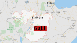 ‘Gujiitti Humnootni Nageenyaa cidharratti dhukaasanii nama tokko ajjeesan’ – Jiraattota