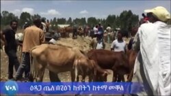 ዕዳጋ ጤለ በጊዕን ከብትን ከተማ መቐለ