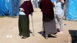 Jinên Daişî yên Bîyanî Dixwazin Vegerin Welatên Xwe