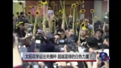 时事大家谈：太阳花学运出关播种，超越蓝绿的白色力量？