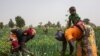 FILE - Women work at an onion field in Cameroon, March 7, 2020. Women gathered in Yaounde on June 23, 2021, to protest practices wives are expected to undergo when they lose their husbands. 