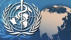 የዓለም የጤና ድርጅት በአየር ንብረት ለውጥ ላይ ጠንካራ እርምጃ ያስፈልጋል የሚል መግለጫ አወጣ