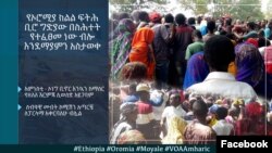 ወደ ኬንያ ሞያሌ የተሰደዱ ኢትዮጵያውያን