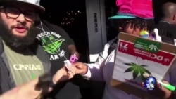 华盛顿大麻种子合法交换