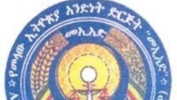 "የአባላቶቻችን እሥር ሊካሄድ በታቀደው ድርድር ላይ አሉታዊ ተፅዕኖ ይፈጥራል" - መኢአድ