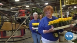Volunteers Prepare Colorful Floats for Rose Parade