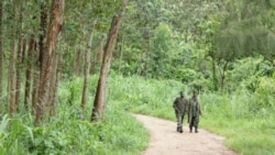 Anneke Van Woudenberg jointe par Nicolas Pinault