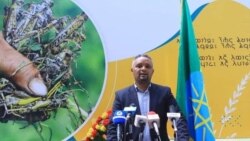 ውድብ ብልፅግና  ትግራይ ወራር ኣምበጣ ንምምካት ኮሚተ ምጥያሱ ገሊጹ