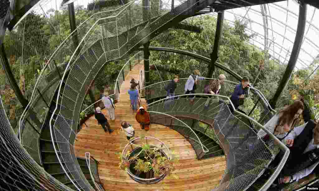 Para pengunjung menaiki tangga di sebuah aula &#39;Rainforest Masoala&#39; yang baru saja dibuka di kebun binatang di kota Zurich, Swiss.