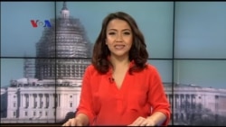 Peluang Ekonomi Bisnis Kafe Khusus Anjing