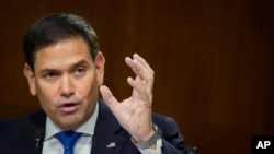 마르코 루비오 미국 공화당 상원의원.