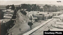 ከተማ ዓዲ ዃላ