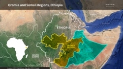 መንግስቲ ኣብ ምዕራብ ኦሮምያ ዘካይዶ ብነፈርቲ ዝተሓገዘ መጥቓዕቲ ይቕጽል ምህላው ነበርቲ ገሊጾም