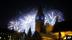 Two two-month-old lions cubs sit in their enclosure at the Zoo in Saint-Petersburg, Germany.
