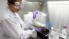 FILE -Technical assistant Eliska Didyk prepares a human fecal matter solution in an OpenBiome laboratory, in Medford, Massachusetts, June 2014.
