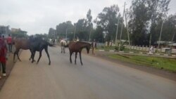 አዲሱ የቀን ገቢ ግምት አድማ አስነስቷል